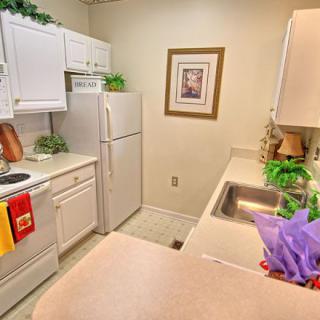 A compact kitchen with white cabinets and modern appliances, decorated with plants and colorful towels.