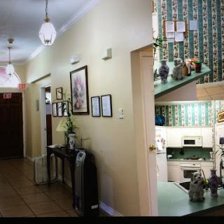 A well-lit hallway leading to a kitchen area, featuring decorative elements and plants.