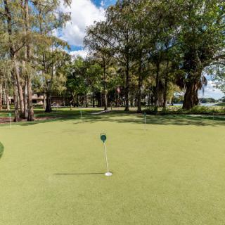 A serene view of a golf course green with a flag, surrounded by trees and nature.