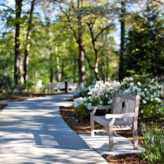 A peaceful garden pathway with a wooden bench surrounded by lush greenery and blooming flowers.