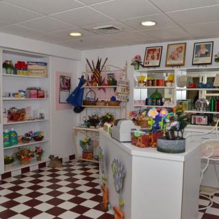A vibrant store interior with shelves stocked with various merchandise and a checkered floor.