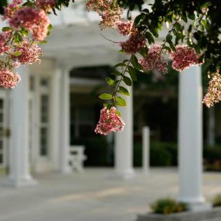 Blooming flowers hang in front of a building with white columns.