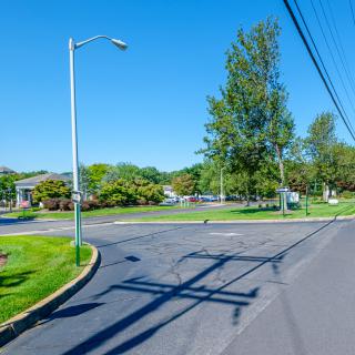A sunny street scene with trees, a lamp post, and power lines against a clear blue sky.