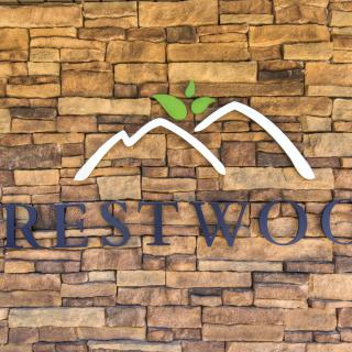 A logo with mountains and green leaves on a stone wall backdrop.