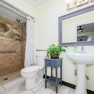 A well-lit bathroom with a shower, toilet, sink, and a decorative plant on a small table.