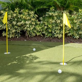 A putting green with two golf balls and flags under the sun.