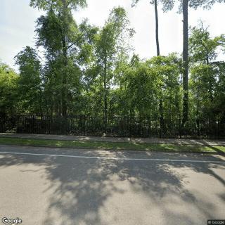Evergreens at Mahan