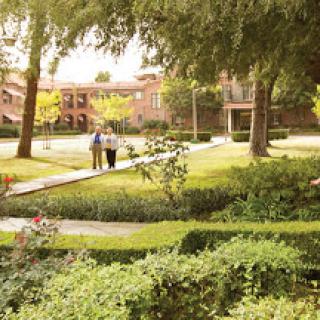 A serene park scene with people walking along a pathway surrounded by lush greenery.