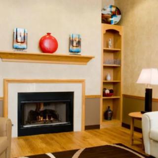 A cozy living room with a fireplace, stylish decor, and a neatly organized shelf.