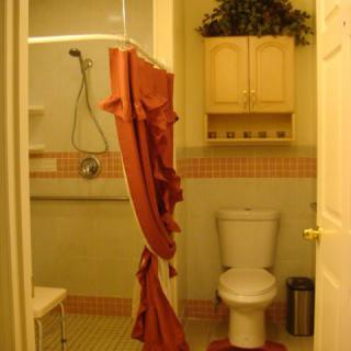 A bathroom featuring a shower area with a red curtain, toilet, and cabinet with decorative plants.