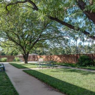A peaceful garden with a sidewalk, benches, and lush trees providing shade.