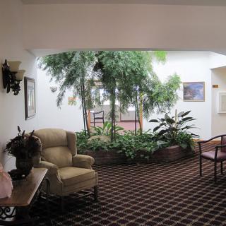 A cozy seating area in a lobby with lush indoor plants.