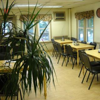 An empty dining room with tables, chairs, and a large indoor plant near the window.