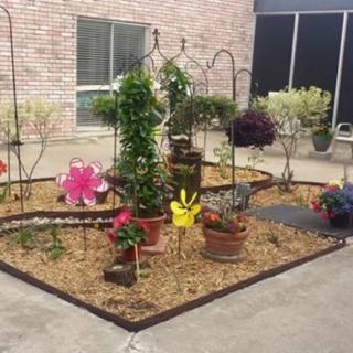 A small garden area with a variety of potted plants and flowers arranged on mulch.