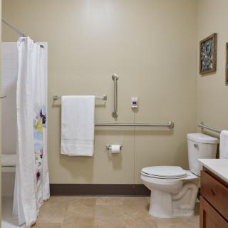 An accessible bathroom featuring a toilet, grab bars, shower with curtain, and sink.
