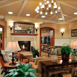 A cozy living room with a fireplace and elegant chandelier, featuring comfortable furniture and decorative plants.