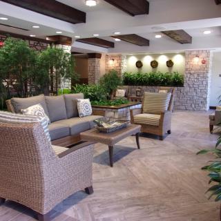 A cozy living room with modern decor features a seating area surrounded by lush indoor plants.