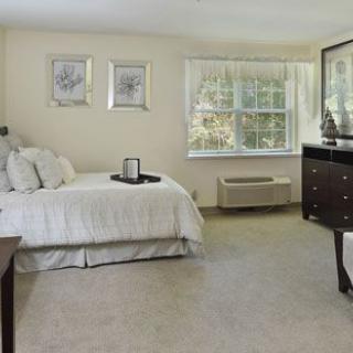 A spacious bedroom with a neatly made bed, carpeted floor, and large window.