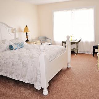 A cozy bedroom with a large bed, a lamp, and natural light streaming through the window.