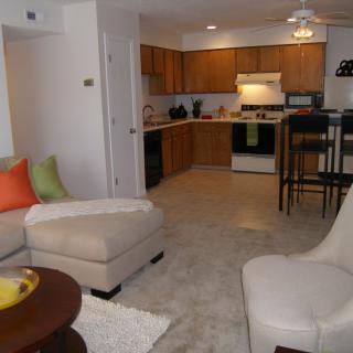 A cozy living room with an open kitchen layout featuring comfortable seating and modern furnishings.