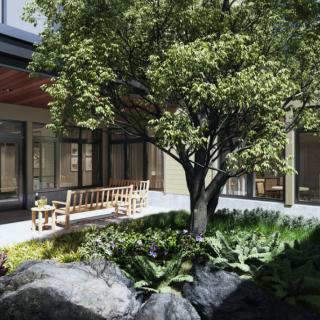 A tranquil garden area with a tree and benches, surrounded by modern architecture.