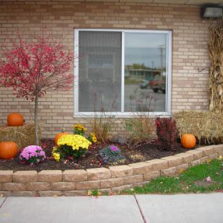 A beautifully landscaped garden featuring autumn colors, flowering plants, and decorative pumpkins.