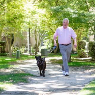 A man walking a dog in a sunny park.