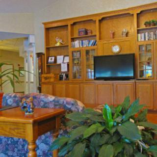A cozy living room with a wooden bookshelf, television, and indoor plants.