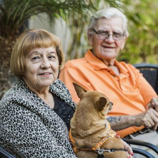 An elderly couple sitting outside with their dog, enjoying the garden.