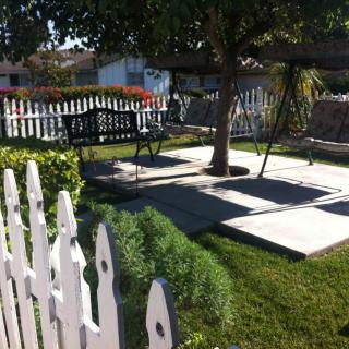A sunny garden with a bench, swing, and picket fence.
