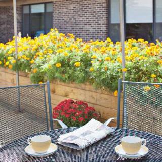 A cozy outdoor seating area with two teacups on a metal table and vibrant flowers in the background.