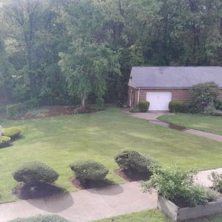 A serene view of a well-maintained yard and house surrounded by greenery.