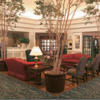 A cozy lobby interior with comfortable seating and large potted plants.