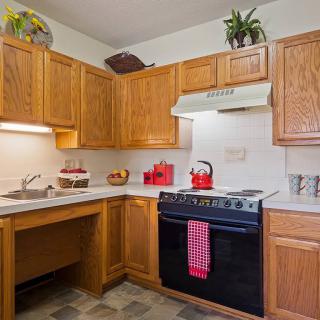 A cozy kitchen with wooden cabinets, a stove featuring a red kettle, and decorative plants.