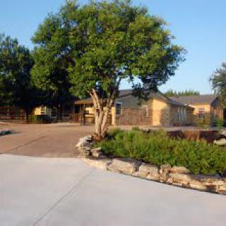 A residential house with a landscaped driveway and large tree.
