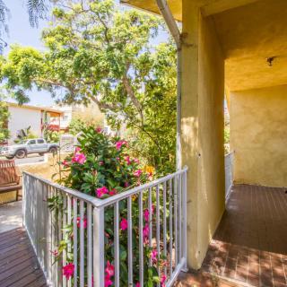 A sunny balcony adorned with vibrant flowers and a metal railing.