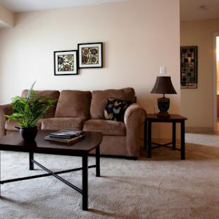 A cozy living room featuring a brown couch, coffee table, and decorative elements.
