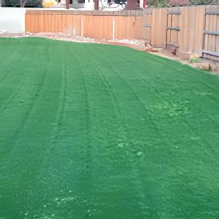 A well-maintained backyard lawn bordered by a wooden fence.