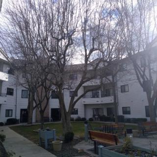 A residential building with a central courtyard featuring trees and benches.