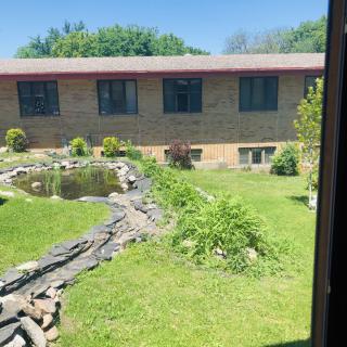 A backyard garden featuring a pond with surrounding greenery and a brick house in the background on a sunny day.