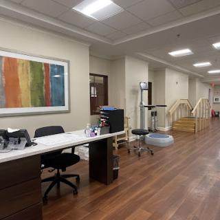 A modern medical office interior featuring a reception desk and colorful artwork.