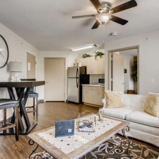 A modern, open-concept living room and kitchen area featuring a ceiling fan, sofa, bar stools, and hardwood flooring.