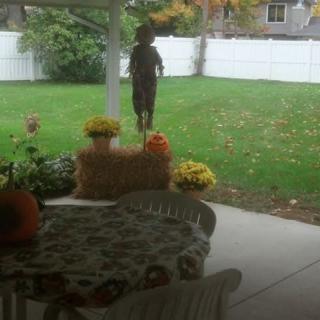 A cozy patio decorated for autumn with pumpkins, a scarecrow, and seasonal flowers.