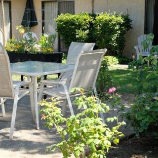 A tranquil garden setting with patio furniture surrounded by lush greenery.