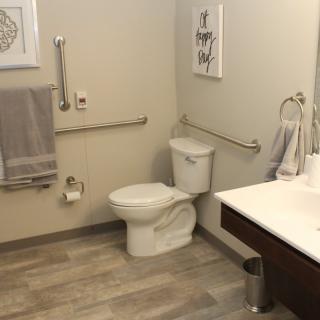 A modern, accessible bathroom with handrails, a toilet, and a sink.