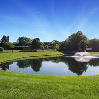 A serene landscape featuring a pond with a fountain, surrounded by lush green grass and trees under a clear blue sky.