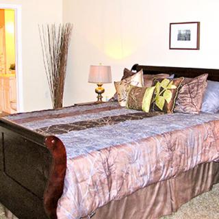 A cozy bedroom featuring a large bed with a decorative comforter and pillows, complemented by a bedside lamp and wall art.