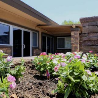 A beautiful garden with colorful flowers in front of a modern house.