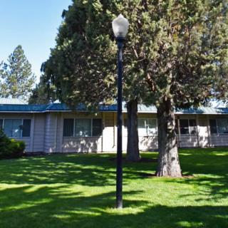 A tranquil outdoor scene featuring a lamp post, lush green lawn, and trees in front of a building.