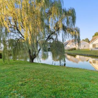 A serene suburban scene featuring a willow tree by a pond, with houses in the background and clear reflections on the water.